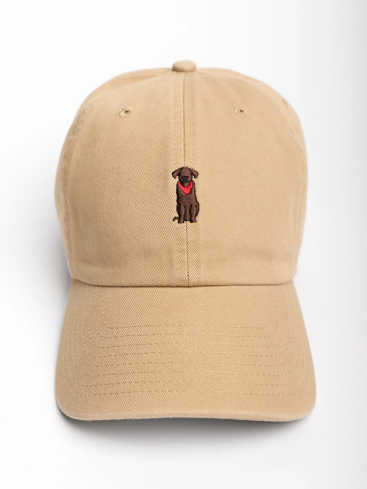 47 Chocolate Lab Runner Icon Clean Up Hat