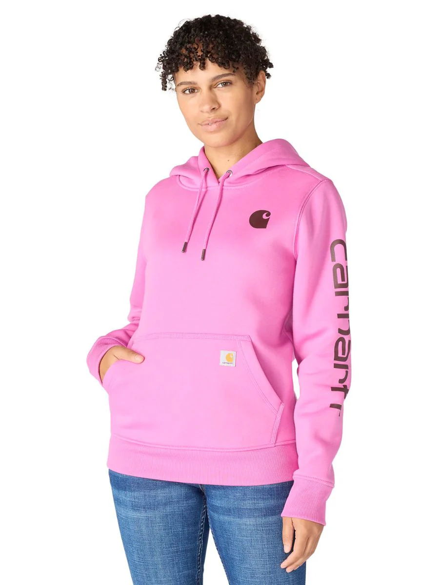 Carhartt Clarksburg Graphic Sleeve Pullover - Image 16