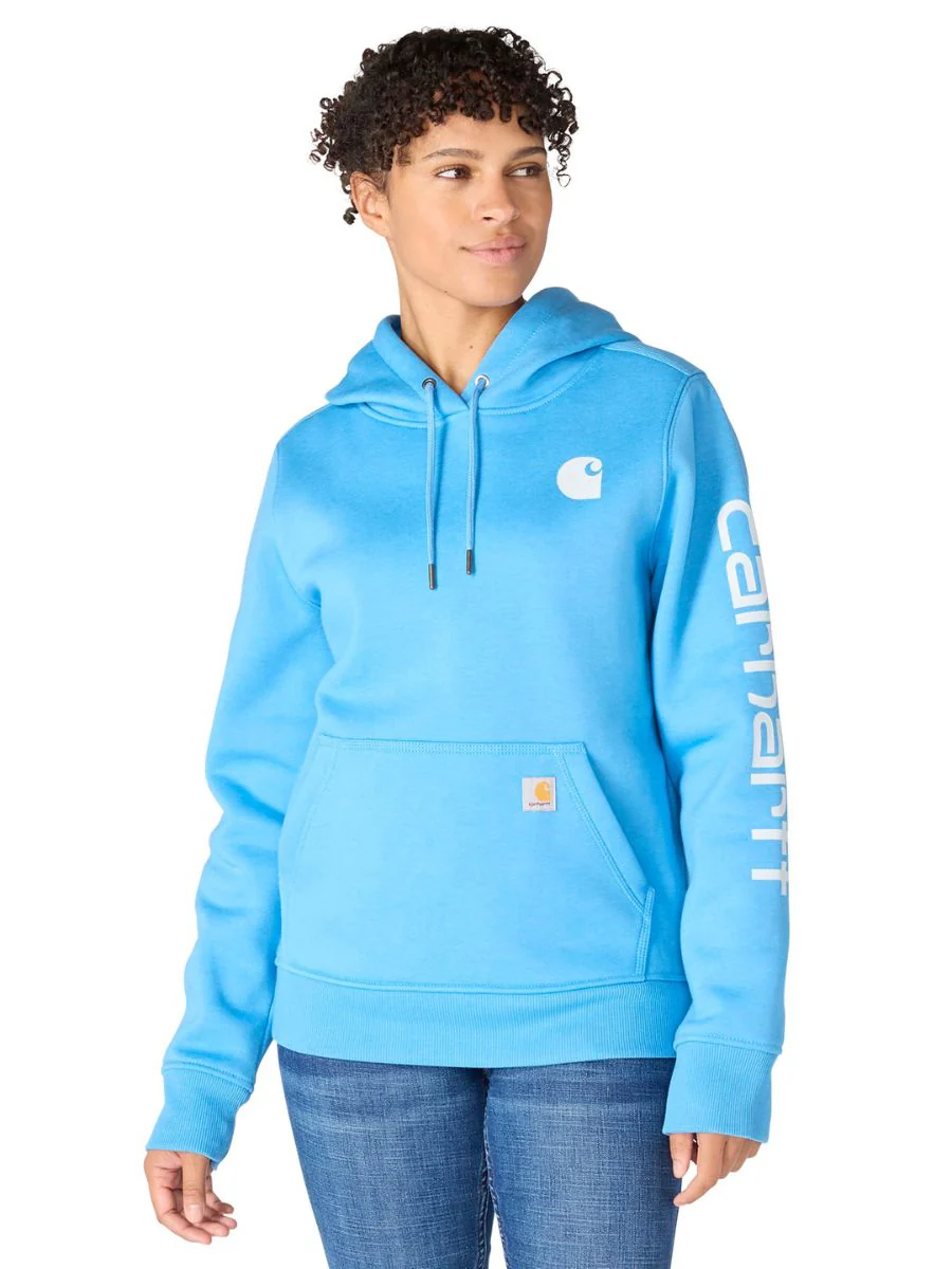 Carhartt Clarksburg Graphic Sleeve Pullover - Image 17