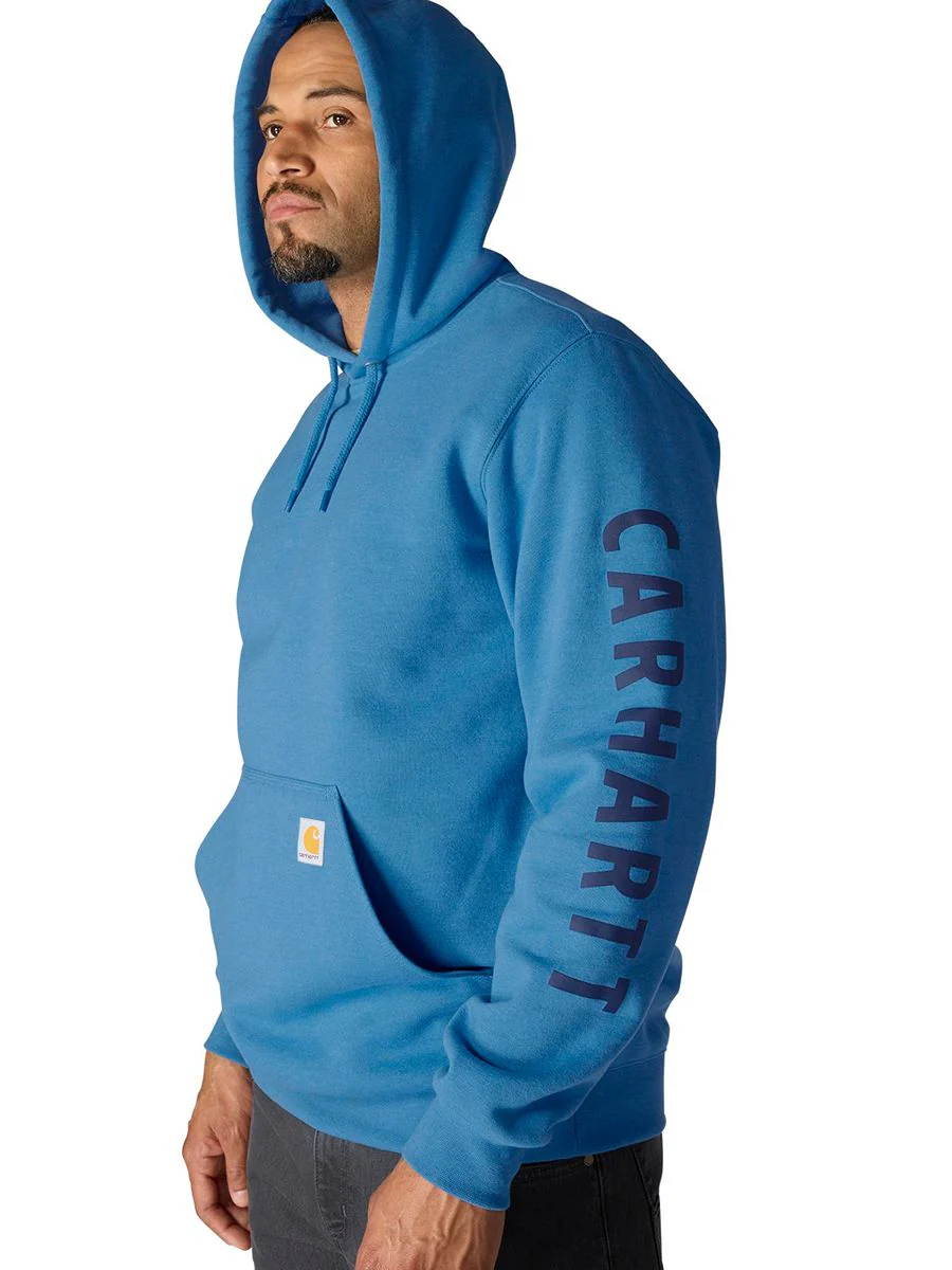 Carhartt Loose Fit Midweight Logo Graphic Hoodie - Image 4